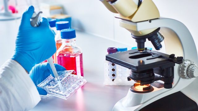 MGU Biyoloji Fakültesi Prof. Dr. Boris Jivotovskiy