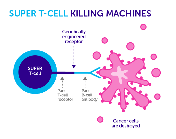 super-T-cells