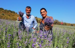Tıbbi aromatik bitkilerde fırsat