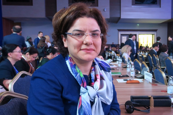 Prof. Dr. Emine Alp Meşe