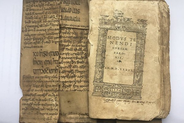 ibn_i_sina_irlandaca