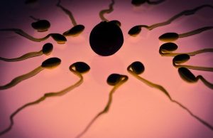 Yeni Ultrason Tekniği Sperm Hareketini Yüzde 266 Oranında Artırdı