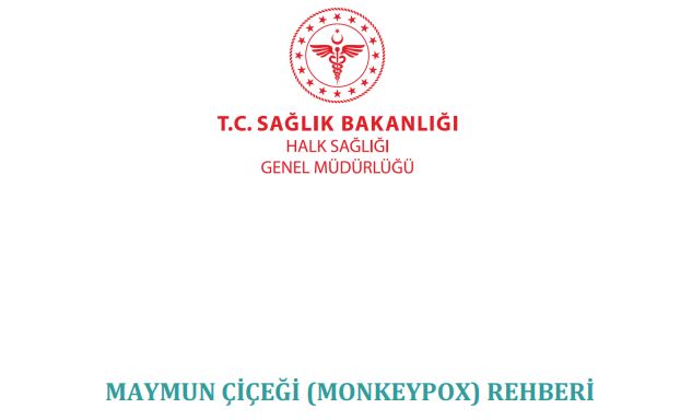 maymun çiçeği rehberi