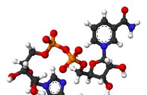 “nikotinamid ribosid”, kanser gelişimi tehlikesi