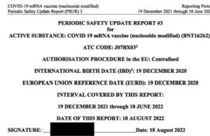 Mahkeme Öncesi Rapor Ortaya Çıktı