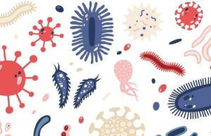 Kanser Mikrobiyomu Üzerine Etkili Bir Makale Yayımlandığı Dergi Tarafından Geri Çekiliyor