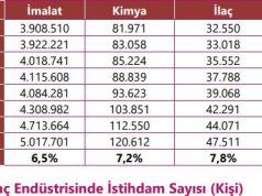 İEİS, 2022 Yılı İlaç Endüstrisi İstihdam Analizi