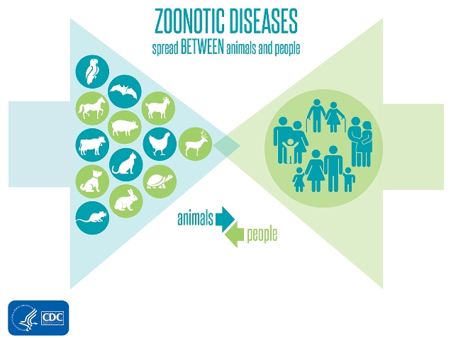 zoonoz