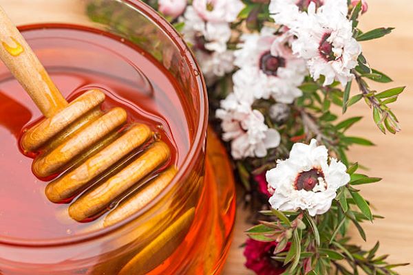 Manuka balı2