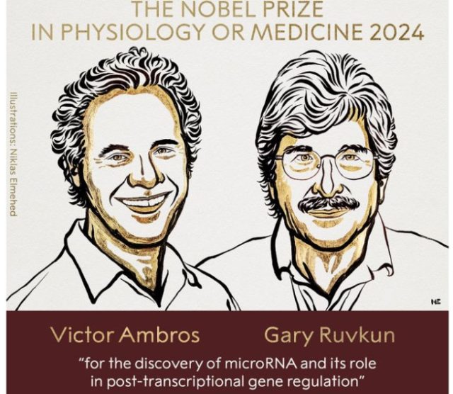 Victor Ambros _Gary Ruvku