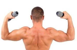 Protein ve Kas Gelişimi: Eski İnançlar Sorgulanıyor