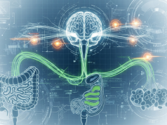 Beynimiz Kilo Vermeye Direniyor: Bilim, Zayıflamanın Neden Bu Kadar Zor Olduğunu Açıklıyor