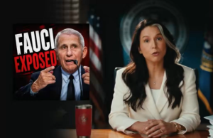 Gabbard’dan Fauci’ye Ağır Suçlamalar: COVID-19 Laboratuvar Sızıntısı Kökenini Gizlemek İçin İstihbarat Kurumlarının Kullanıldığını Gösteren Belgeler Yayınlandı