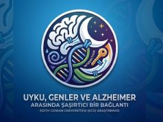 Uyku, Genler ve Alzheimer Arasında Şaşırtıcı Bir Bağlantı