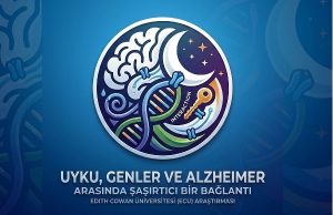 Uyku, Genler ve Alzheimer Arasında Şaşırtıcı Bir Bağlantı