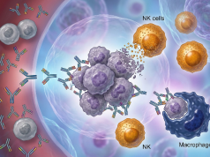 Kanser Tedavisinde Yeni İnceleme: Otoantikor Proteinlerin Bağışıklık Gözetimindeki Rolü