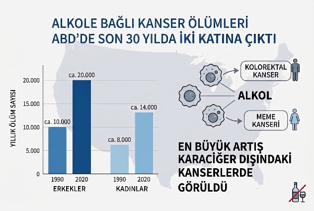 Alkol Kaynaklı Kanser Ölümleri_
